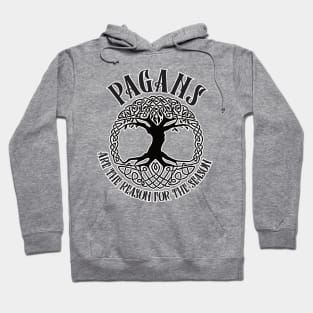 Pagans are the reason for the season, Christmas shirt, pagan gift wiccan gift Hoodie